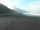 lostcoast2008_515_small.jpg