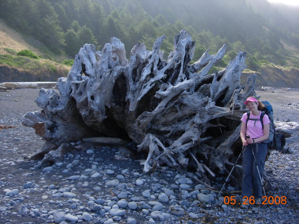 lostcoast2008_524.jpg