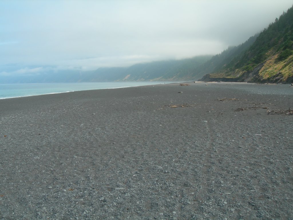 lostcoast2008_533.jpg