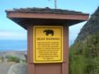 lostcoast2008_534_small.jpg