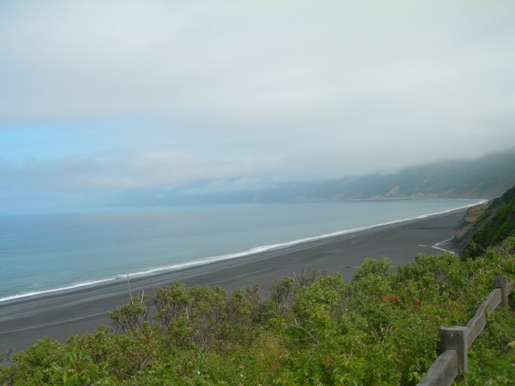 lostcoast2008_540.jpg