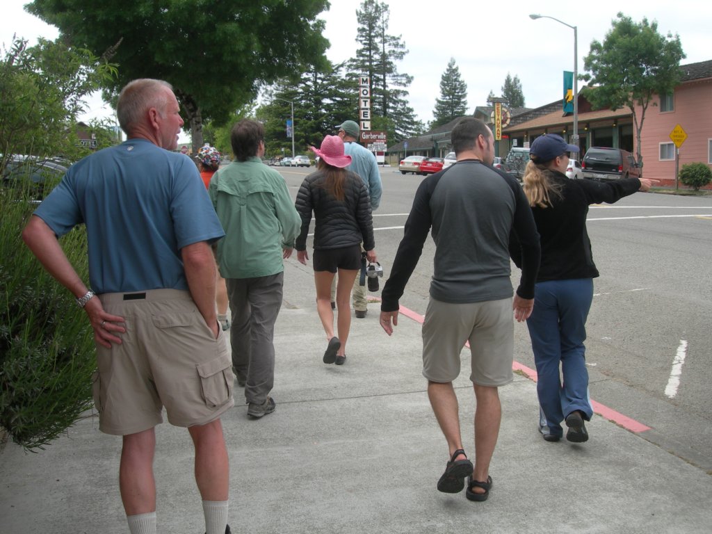 lostcoast2008_550.jpg