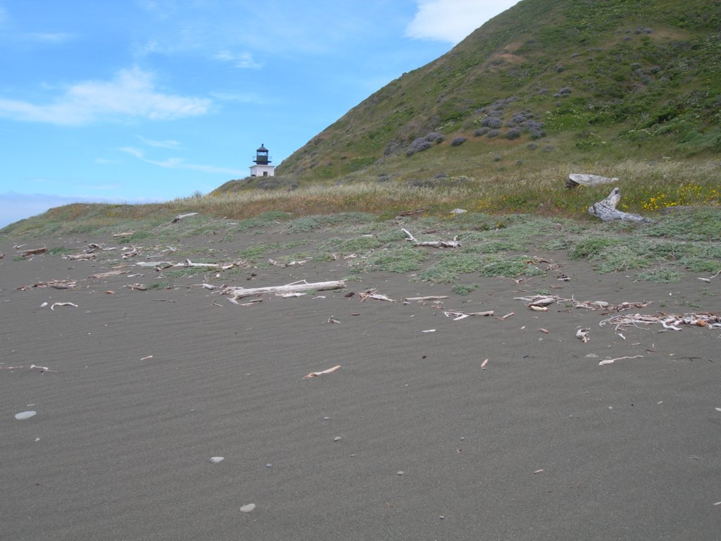 lostcoast2008_68.jpg