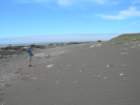 lostcoast2008_69_small.jpg