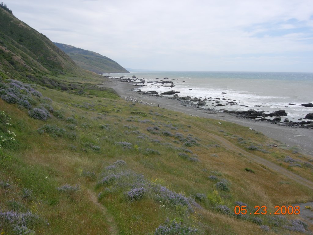 lostcoast2008_78.jpg