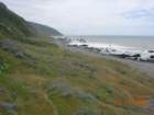 lostcoast2008_78_small.jpg