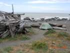 lostcoast2008_87_small.jpg