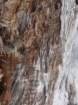 lostcoast2008_99_small.jpg