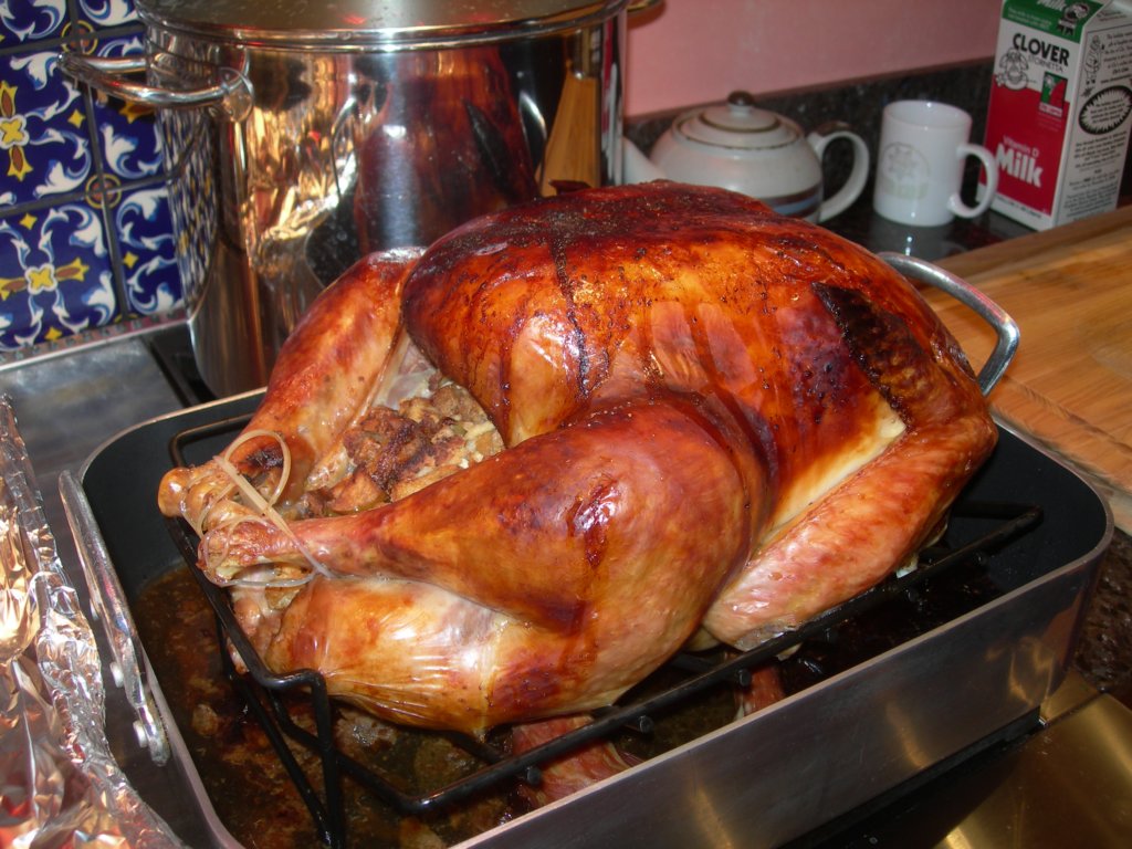 photo23.jpg