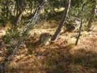 sunriseloop017_small.jpg