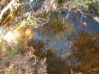 sunriseloop022_small.jpg