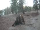 sunriseloop026_small.jpg