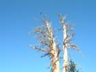 sunriseloop078_small.jpg