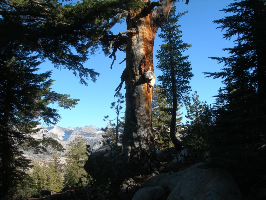 sunriseloop169.jpg