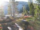 sunriseloop224_small.jpg