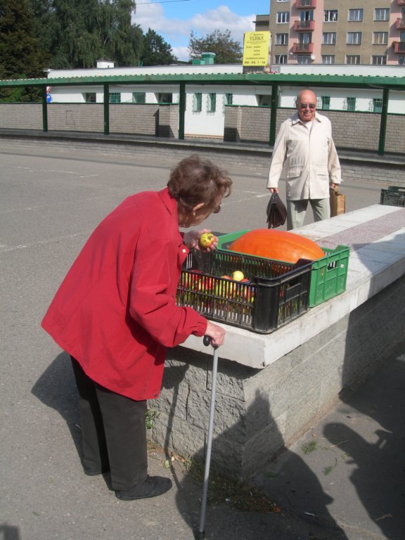 dscn7421.jpg