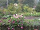 dscn7443_small.jpg