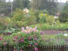 dscn7444_small.jpg