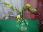 dscn7464_small.jpg
