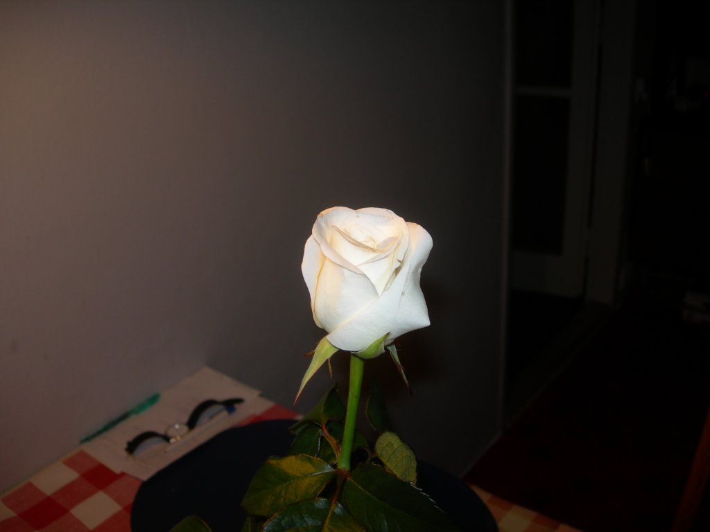 dscn7481.jpg