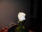 dscn7481_small.jpg