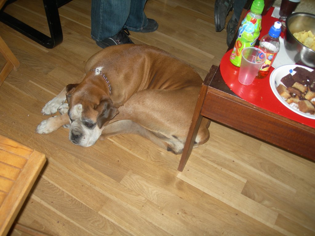 dscn7494.jpg