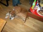dscn7494_small.jpg