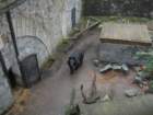 dscn7585_small.jpg