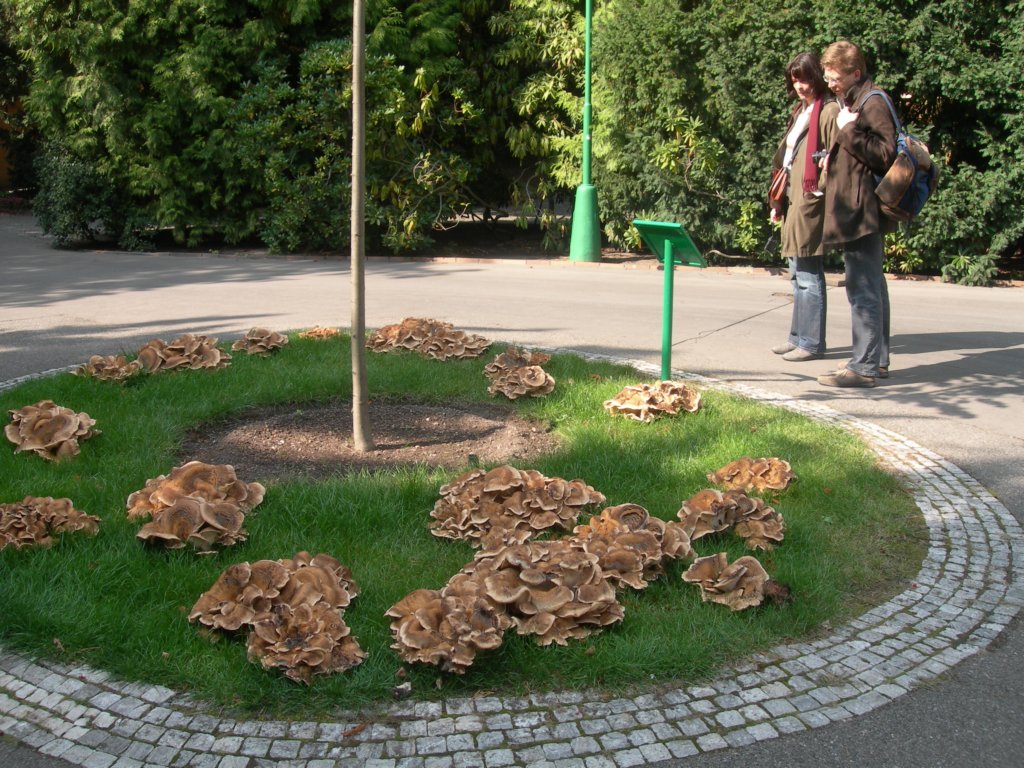 dscn7604.jpg