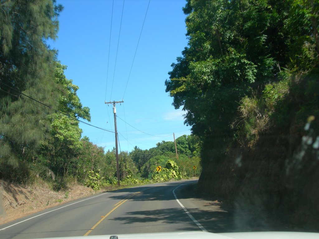hawaii_sep08028.jpg