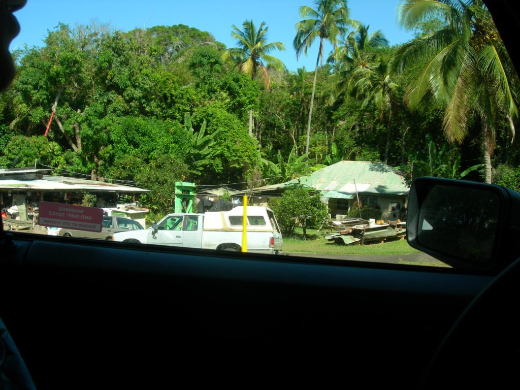 hawaii_sep08030.jpg
