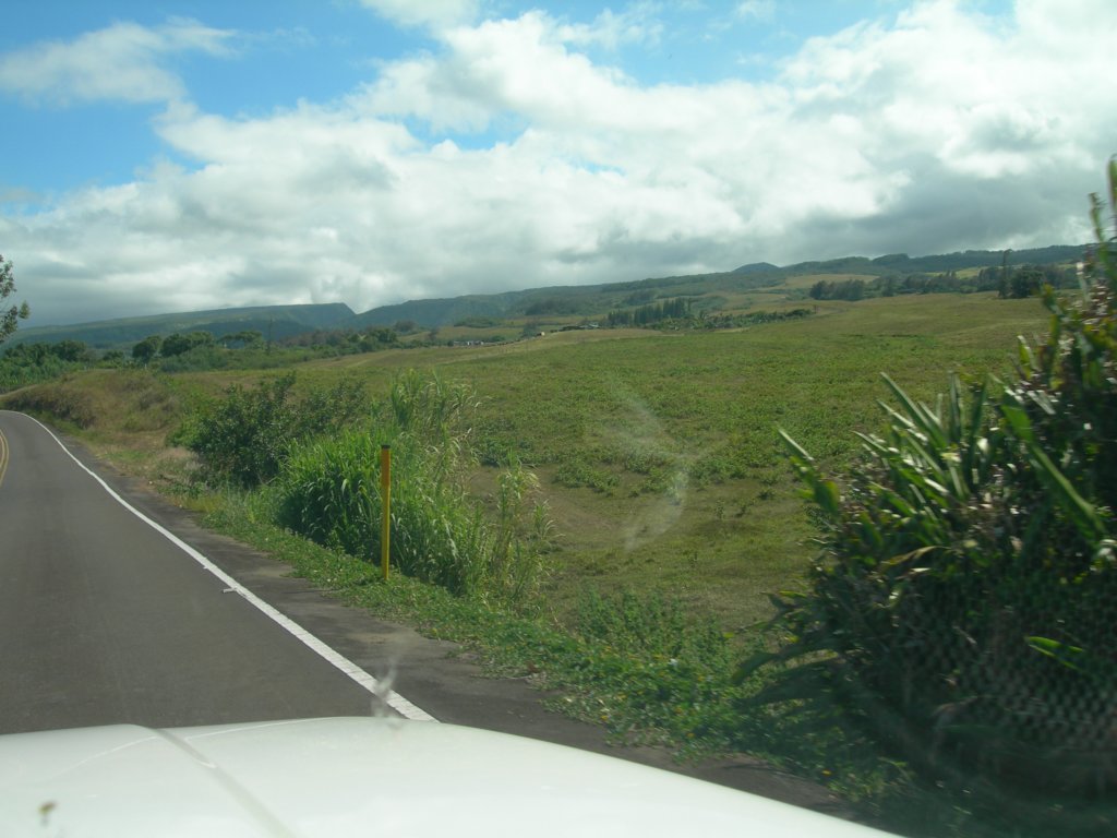 hawaii_sep08033.jpg