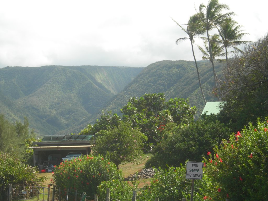 hawaii_sep08046.jpg