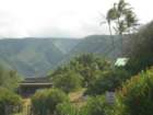 hawaii_sep08046_small.jpg