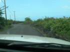 hawaii_sep08069_small.jpg