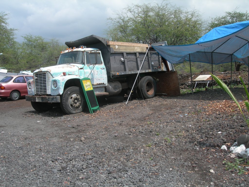 hawaii_sep08075.jpg