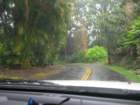hawaii_sep08112_small.jpg