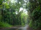 hawaii_sep08114_small.jpg