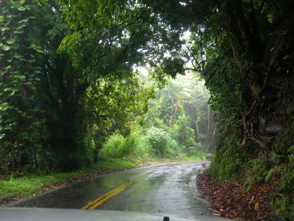 hawaii_sep08115.jpg