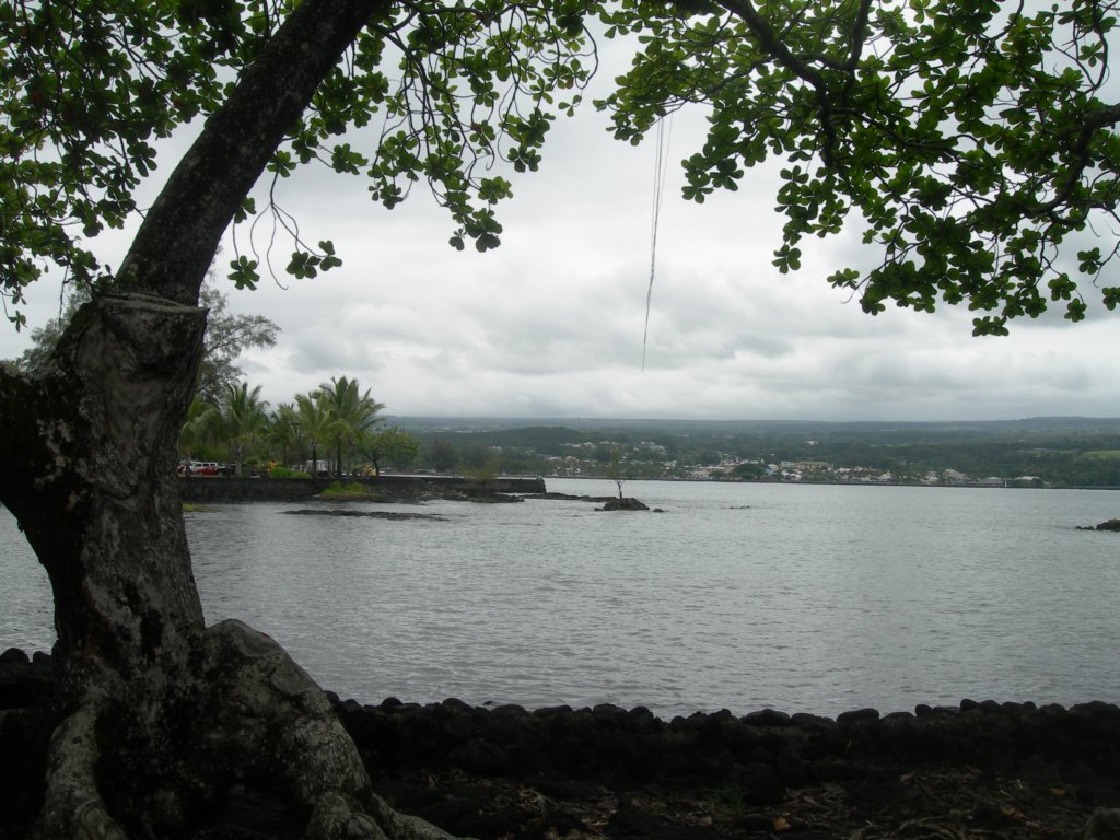 hawaii_sep08128.jpg