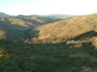 hill88037_small.jpg