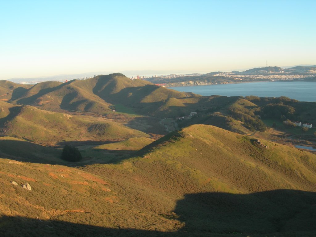 hill88043.jpg