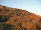 hill88058_small.jpg