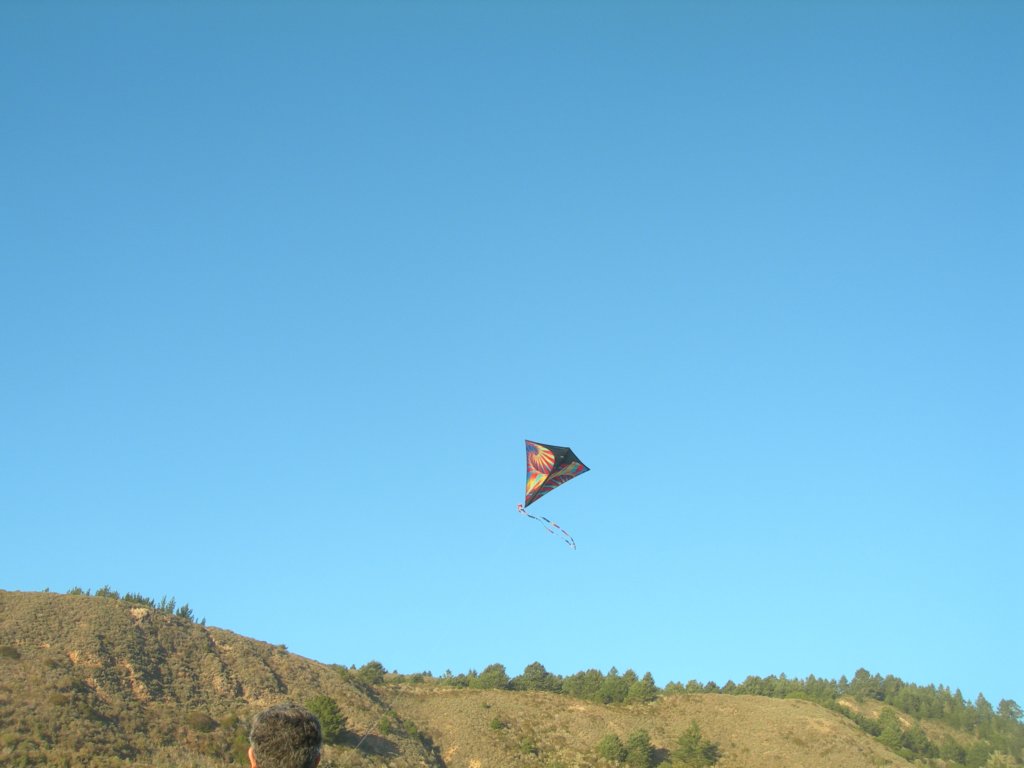 wildcat060.jpg