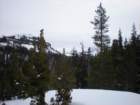 kirkwood_xc022_small.jpg