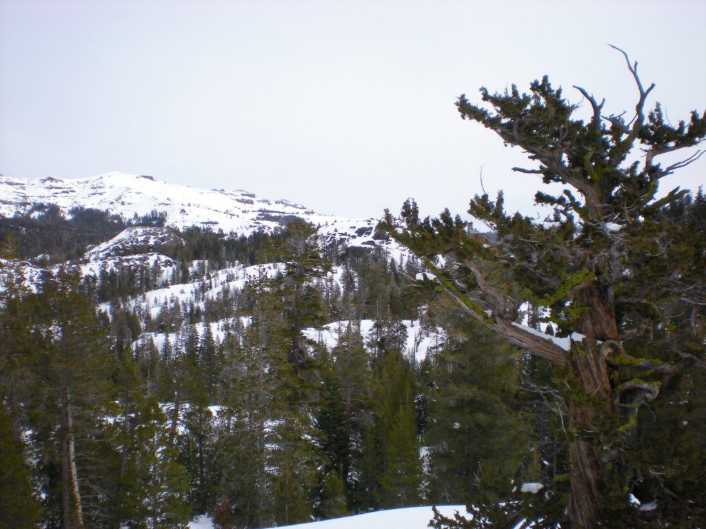 kirkwood_xc023.jpg