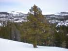 kirkwood_xc024_small.jpg