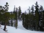 kirkwood_xc027_small.jpg