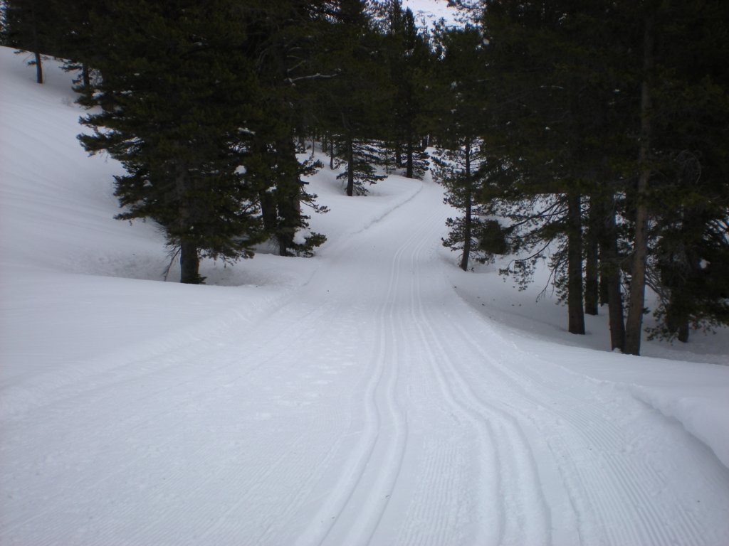 kirkwood_xc029.jpg