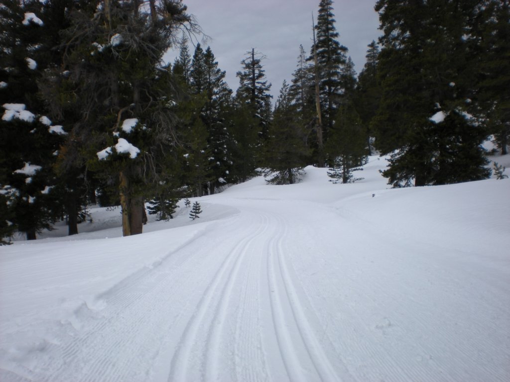 kirkwood_xc030.jpg